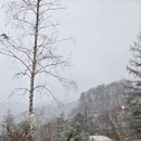 강원도 홍천 캠핑장 알지캠프266 후기