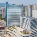 남양행정사사무소 네이버블로그