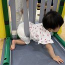 트니트니 키즈챔프1 이미지