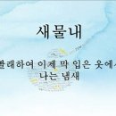 새물내 이미지