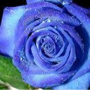 파란상자 이미지