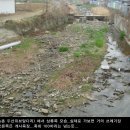 위촌천 이미지