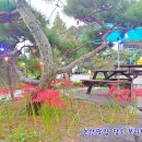 들풀담소보리밥정식 | 논산 맛집 -- 건강밥상 담소 보리밥정식