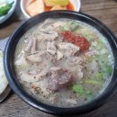 충남식당 티스토리
