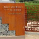 속초바다야 이미지