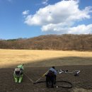 니드포펫 이미지