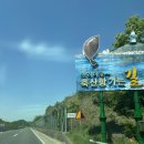 경북 영덕 물가자미 축제 아이랑 체험존 후기