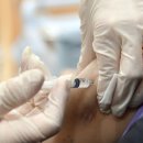 기장체육관보조경기장 이미지