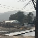 하천농장 | [포천 가볼만한곳] 아이와 함께 가기 좋은 미니 동물농장 '서운동산' 방문 후기