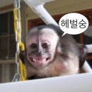 뛰뛰멍 이미지