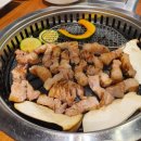 거북이 동네 이미지