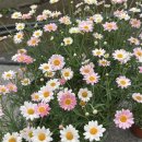 강남대로2길 3 이미지