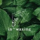 in_waxing 이미지