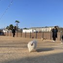 루씨루씨애견유치원 이미지