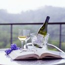 닭이랑 와인돼지