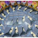 세이레아트센터 이미지