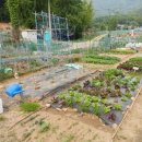 원흥농장 이미지