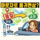 상록수온누리약국 | 안산 마운자로 품절… 결국 군포까지 다녀온 후기｜요즘 품귀현상 이유