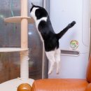 큰누나네집 이미지