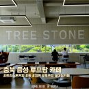 충북 음성 돌과 나무가 매력적인 카페 맛집 | 트리스톤