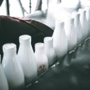 덴마크우유대리점 - 파주시 | 덴마크우유대리점