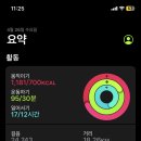 (주)파마존 이미지