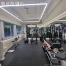 헬로헤일리 이미지