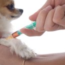 봄앤동물병원 이미지