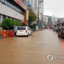 완도18호 이미지