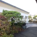 알파강남