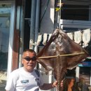 동진기획 이미지