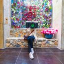 렌즈포유 이미지