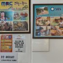 홍대포 - 동해시 | 홍대포