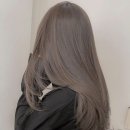 딘 헤어