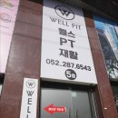 웰핏헬스클럽 | 울산 효문동 피티 헬스장 찾는다면? 웰핏 양정점 솔직 후기