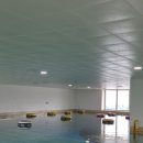 [부산다이빙풀] 영롱한 24m 풀, '부산 북항 마리나 다이빙풀&수영장' 시설 및 예약 꿀팁 솔직 후기 🤿🐋