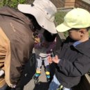 대명초등학교병설유치원 이미지