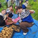 농촌애협동조합