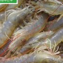 큰바다수산 이미지