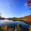 비둘기집 이미지