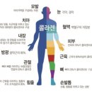 나도콜라겐이다