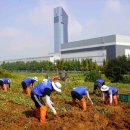 장항1리 이미지