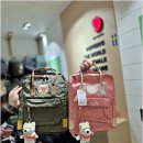 피엘라벤 칸켄 신상 "칸켄콘셉트"
