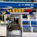 속초회물회