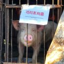 조나단목장 이미지