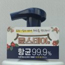 스테이99.9 이미지