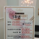 네일셀리나 이미지