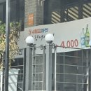 쉬림프마켓중문 이미지