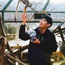 애완동물원 이미지