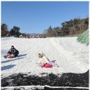 경희태권도장 이미지